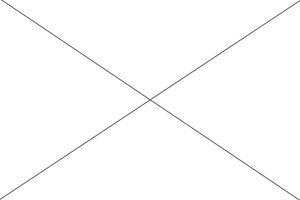 no logo